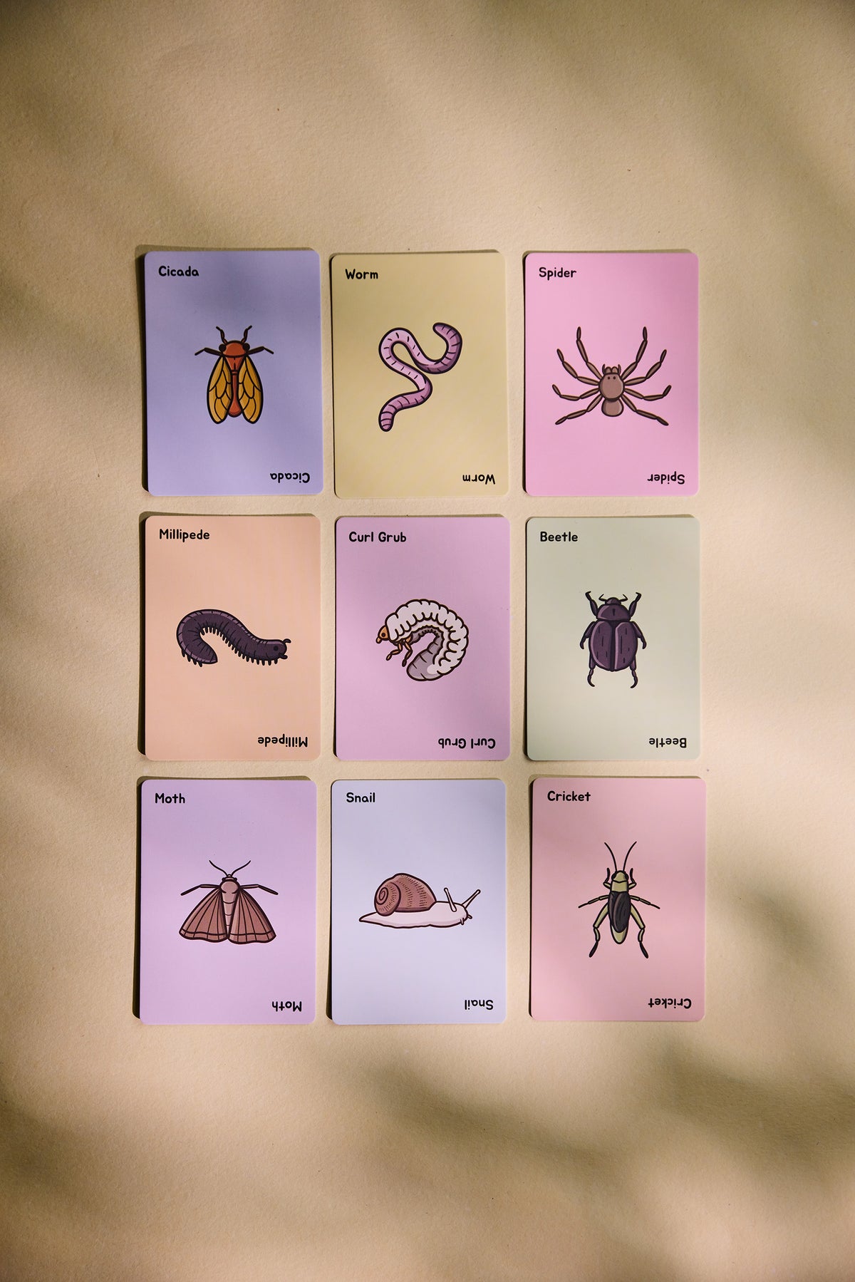 Nine Swoopy Season critter cards arranged in a 3x3 grid on a textured beige background with soft leaf shadows. The cards feature different illustrations (cicada, worm, spider, millipede, earthworm, beetle, moth, snail, cricket) on pastel-colored backgrounds.
