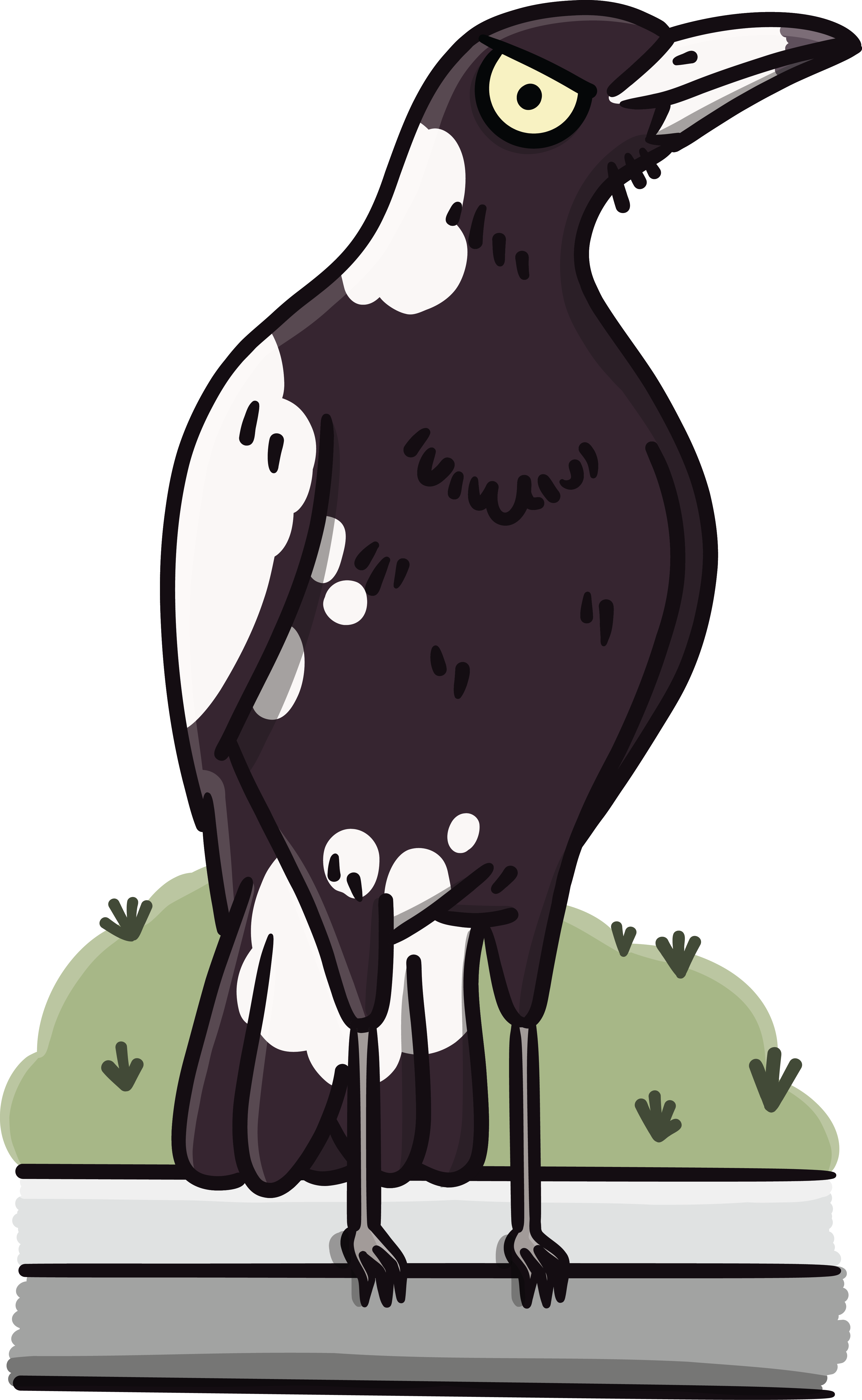 Boss of the Verge magpie illustration